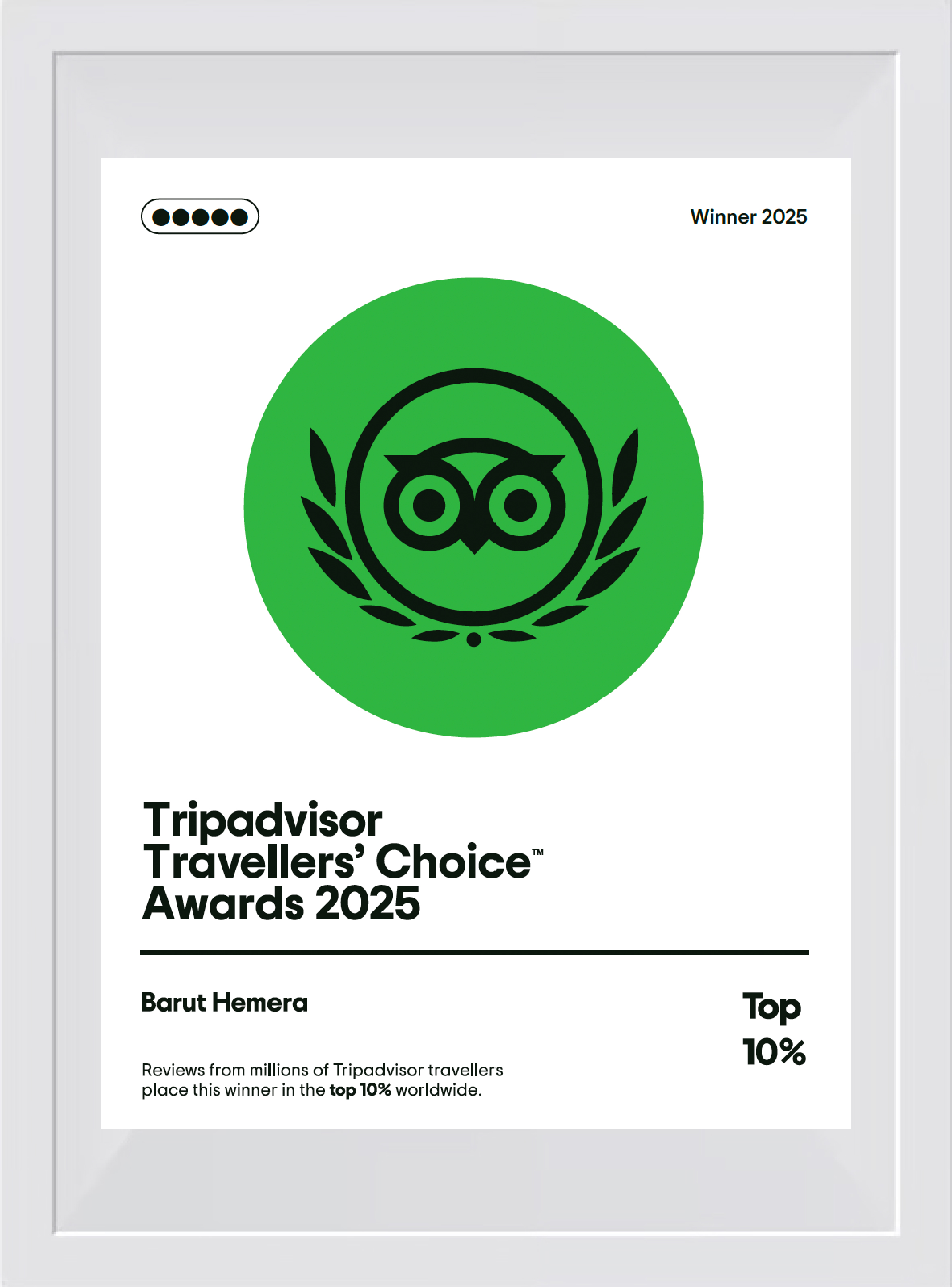 Tripadvisor Traveller's Choice Awards 2025