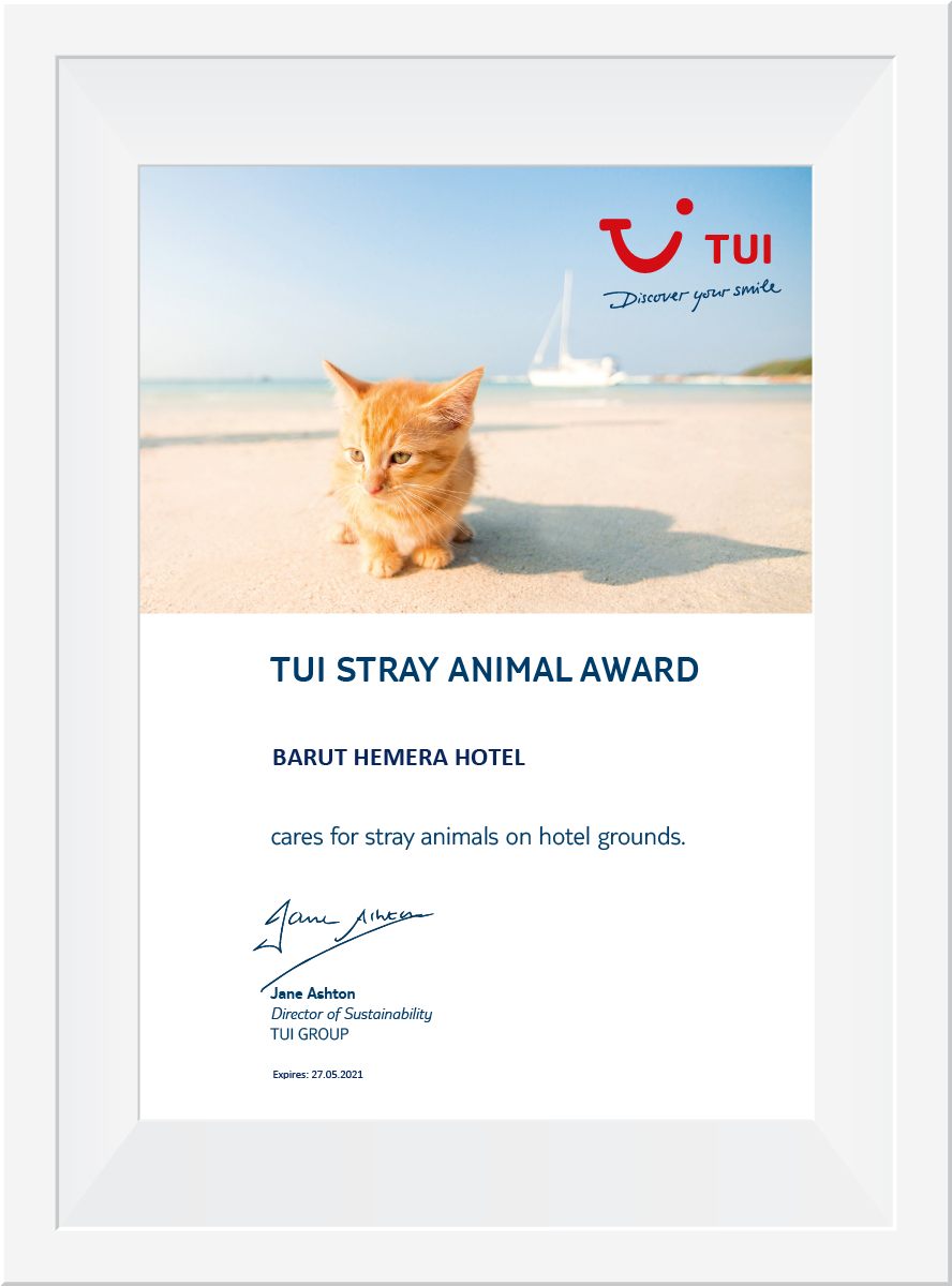 TUI Stray Animal Award